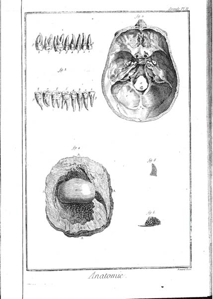 W̒ꕔƎт̑̍ו</A></TD></TR>