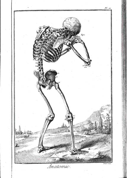 i̔w</A></TD></TR>