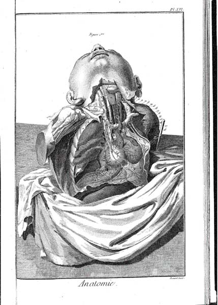 ̑OʂƓ̓in[ɂj</A></TD></TR>