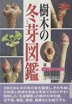 「樹木の冬芽図鑑」表紙画像
