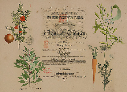 “Plantae officinales oder Sammlung officineller Pflanzen”1巻タイトルページと図版