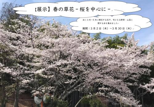 展示：春の草花‐桜を中心に‐案内画像