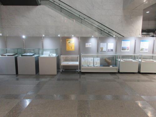 展示