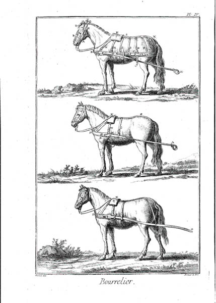 �U�����Ă̔n�Ԃ��Ђ����߂̔n��������m�n