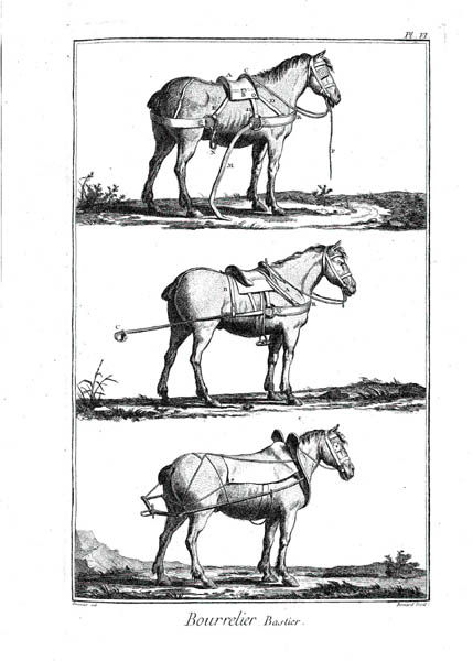 ���낢��Ȉ�����Ɖ׈Ƃ������m�n