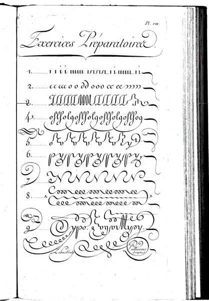 �����̃y���ɂ��\���I�ȗ��K