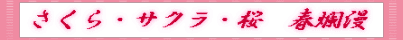 TNtࣖ