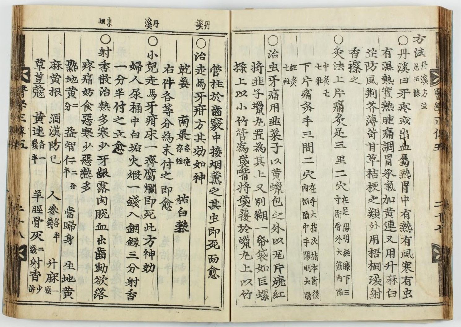 新編医学正伝