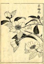 『花彙』