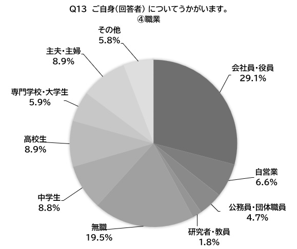 Q13回答の円グラフ