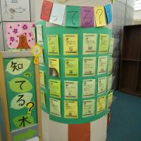 こども資料室「知ってる?木」の写真1