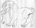 『三才図会』に描かれたゾウ