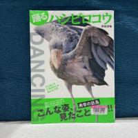 青い布を背景に『踊るハシビロコウ　衝撃の巨鳥こんな姿、見たことない!!』の表紙