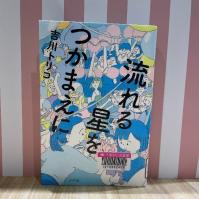 ピンクのレンガを背景に『流れる星をつかまえに』の表紙