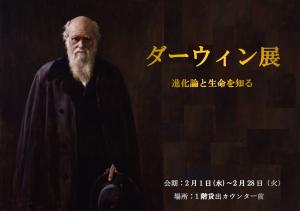 展示見出し