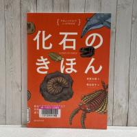 『化石のきほん　やさしいイラストでしっかりわかる』の表紙