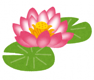 蓮のイラスト