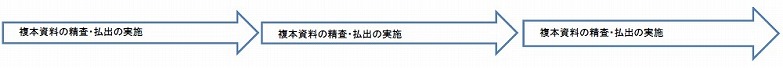 取組内容（H28～30年度）：複本資料の精査と払出を通年で実施。